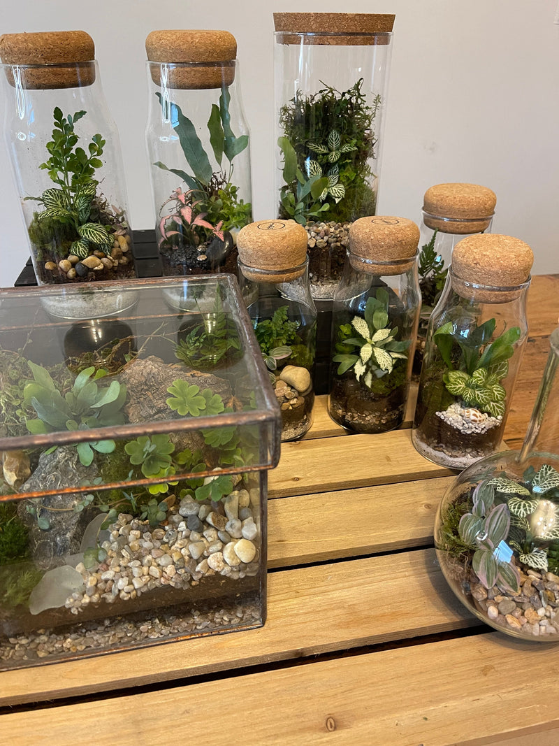 Ready Made Ecosystems