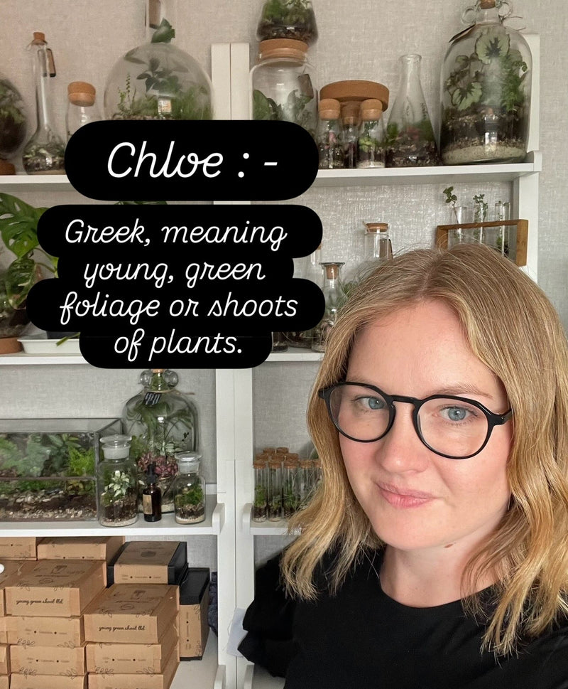 Ever wondered why Young Green Shoot? Well, I'm Chloe and that is exactly what my name means. Pretty fortunate really as plants are my passion (obsession?).

Here's a little story of how I got to where I am.