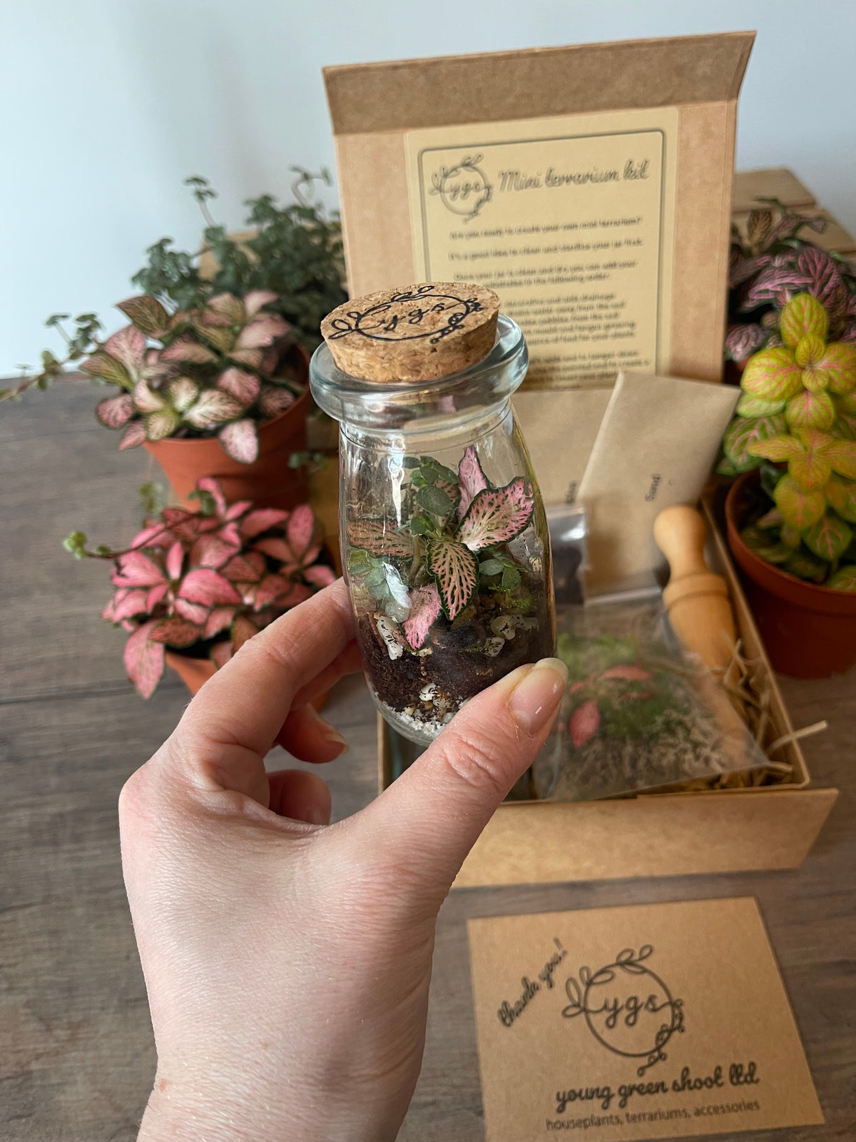 Mini Terrarium DIY Gift Pack — Your Own Tiny Ecosystem, No Green Thumb Required