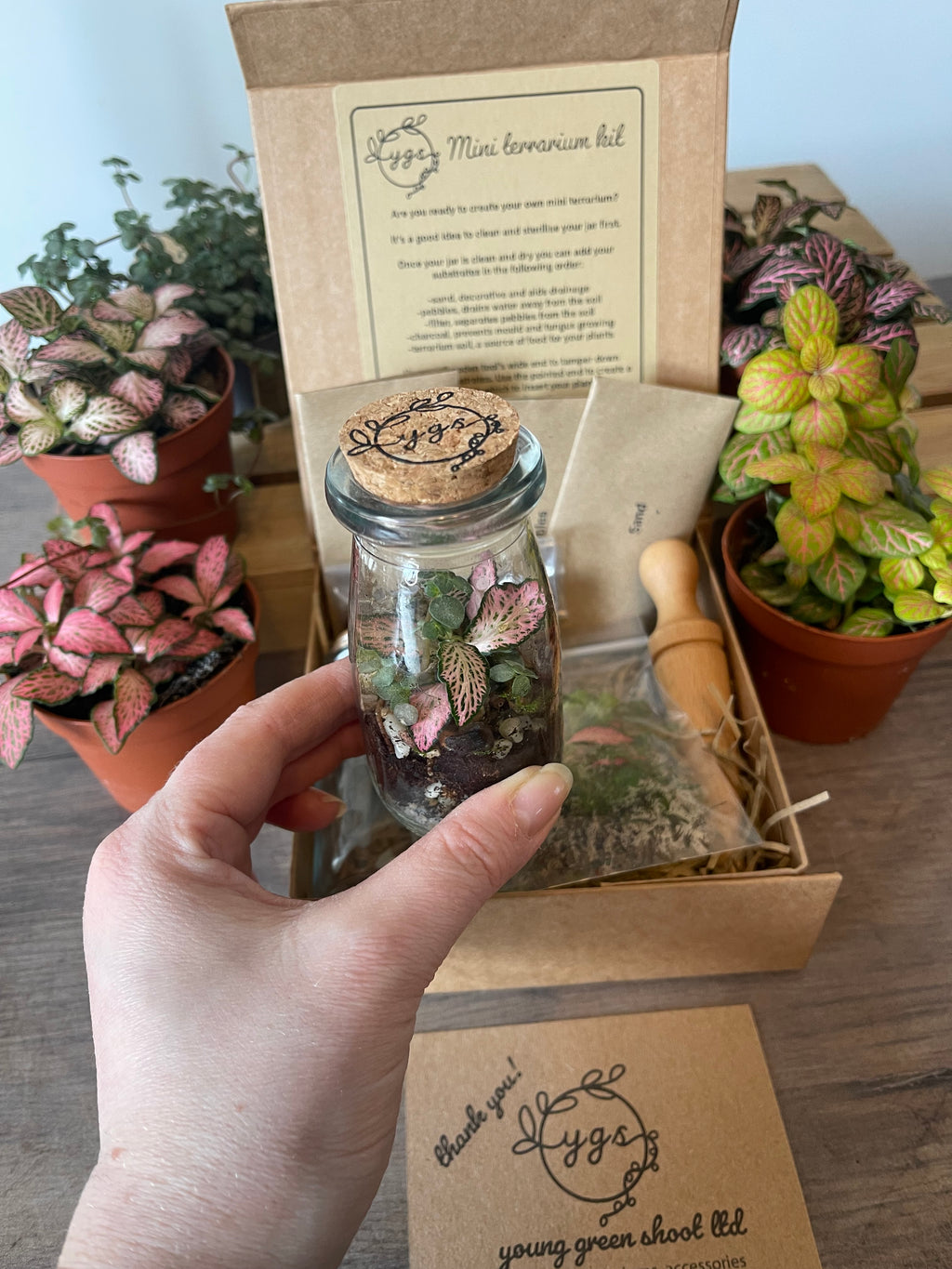Mini Terrarium DIY Gift Pack — Your Own Tiny Ecosystem, No Green Thumb Required