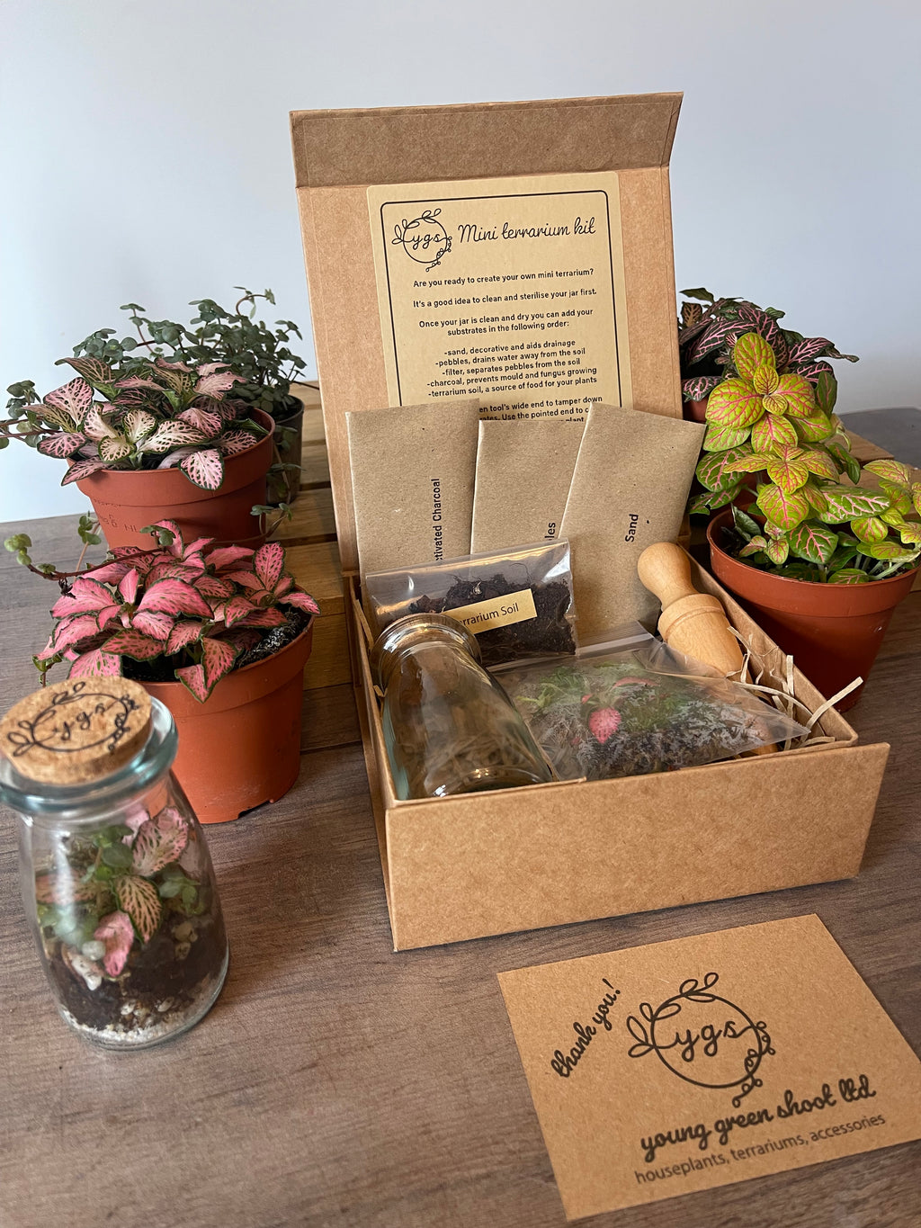 Mini Terrarium DIY Gift Pack — Your Own Tiny Ecosystem, No Green Thumb Required
