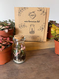 Mini Terrarium DIY Gift Pack — Your Own Tiny Ecosystem, No Green Thumb Required