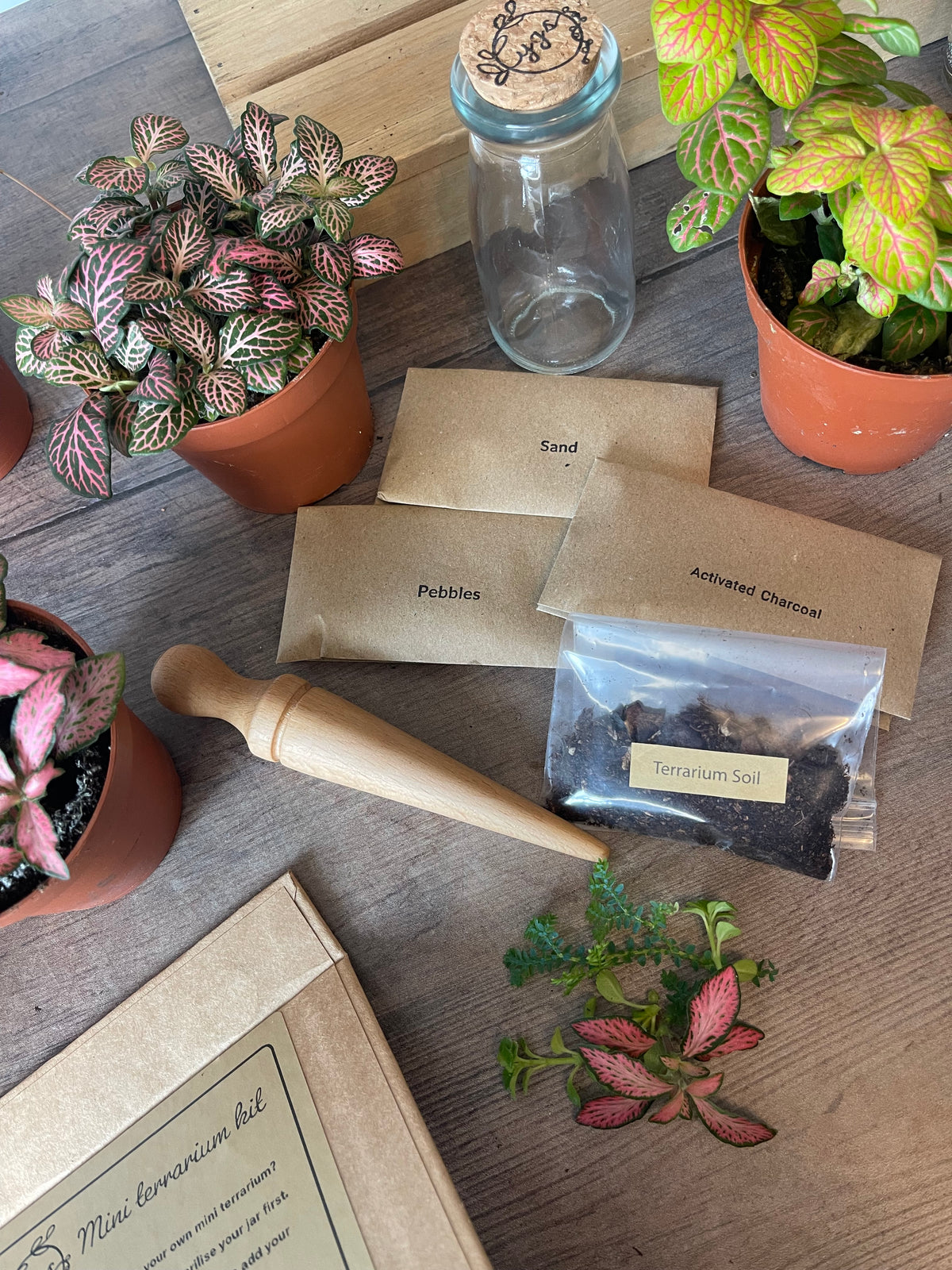 Double Mini Terrarium Kit