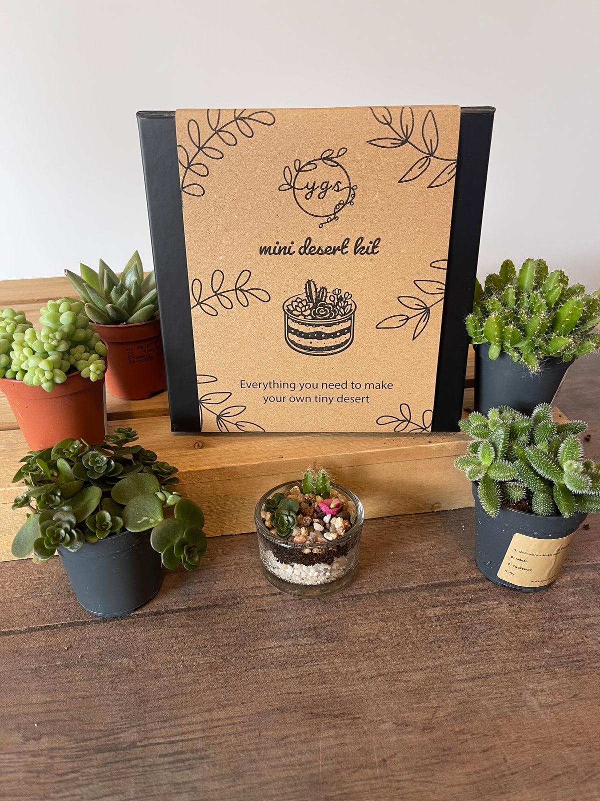Mini Desert Terrarium Gift Pack — Your Own Tiny Oasis, No Green Thumb Required