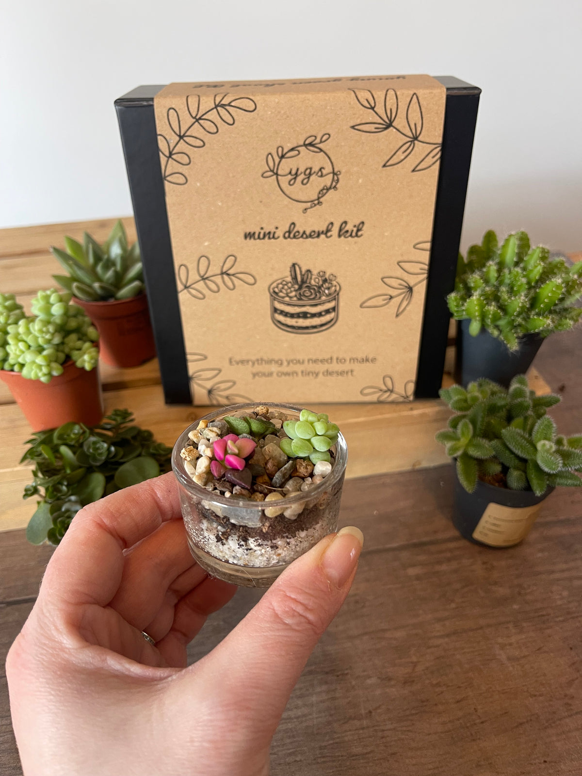 Mini Desert Cuttings Pack — Just the Succulents
