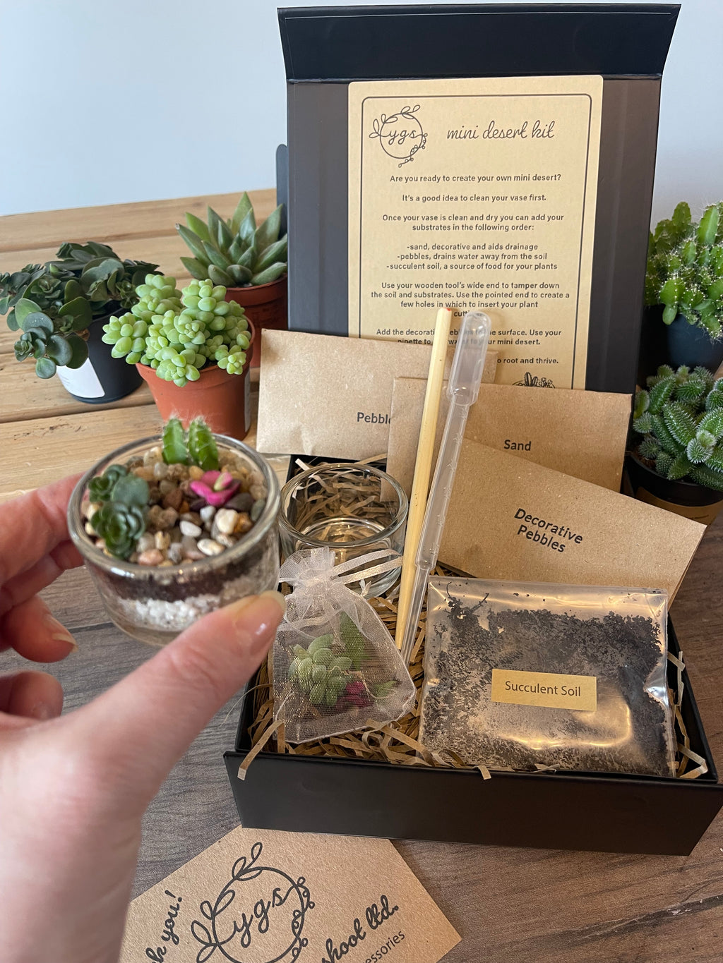 Mini Desert Cuttings Pack — Just the Succulents