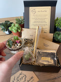 Mini Desert Cuttings Pack — Just the Succulents