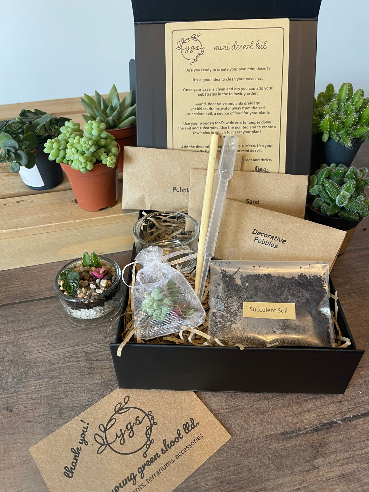 Mini Desert Terrarium Gift Pack — Your Own Tiny Oasis, No Green Thumb Required