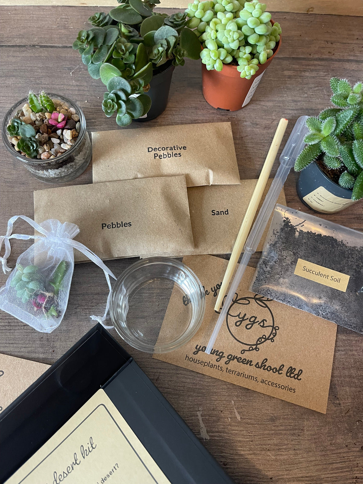 Double Mini Terrarium Kit