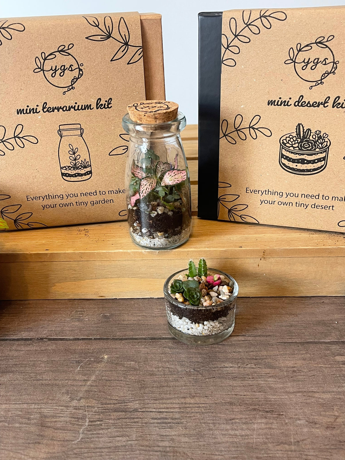 Double Mini Terrarium Kit