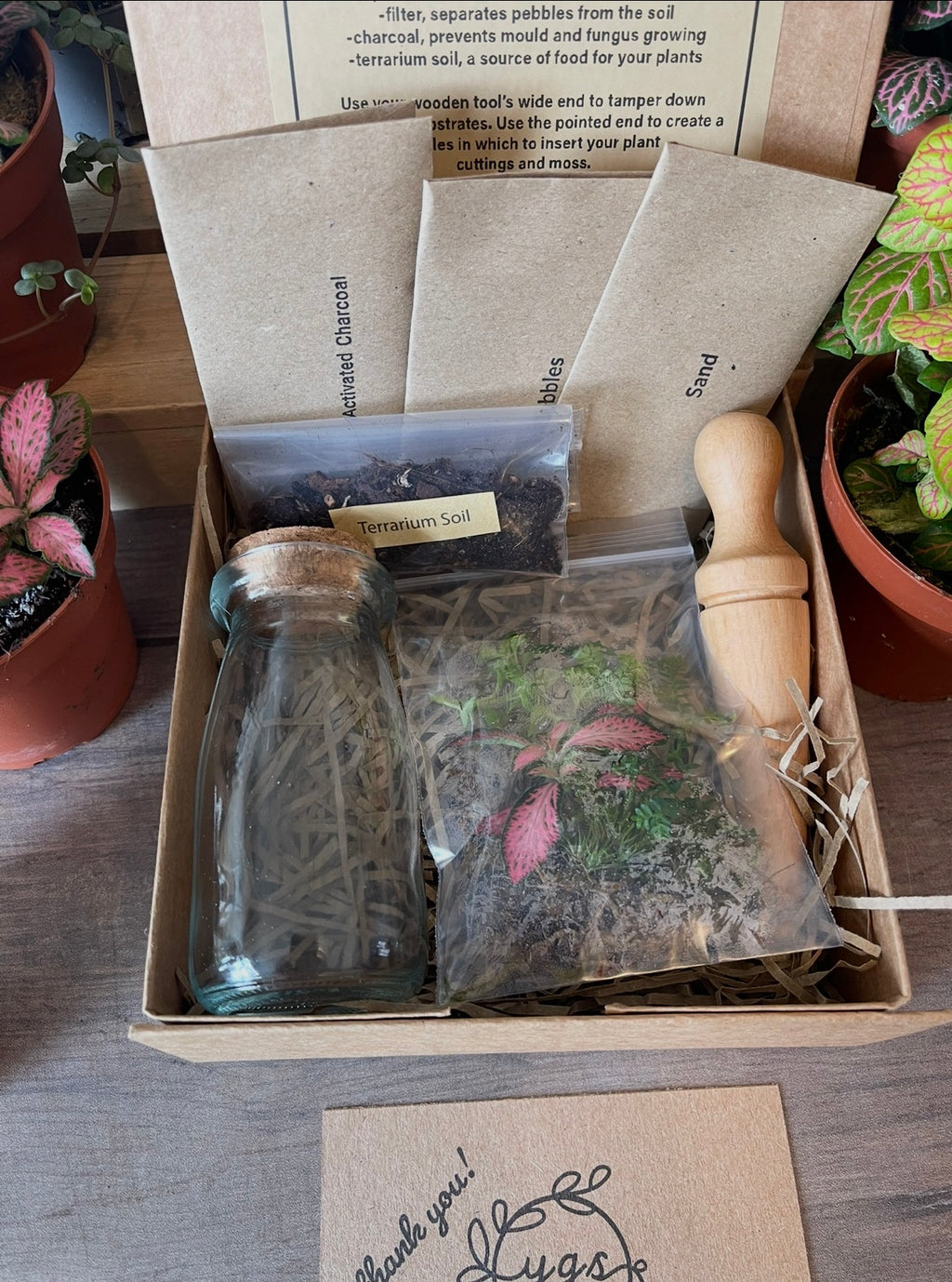Mini Terrarium DIY Gift Pack — Your Own Tiny Ecosystem, No Green Thumb Required