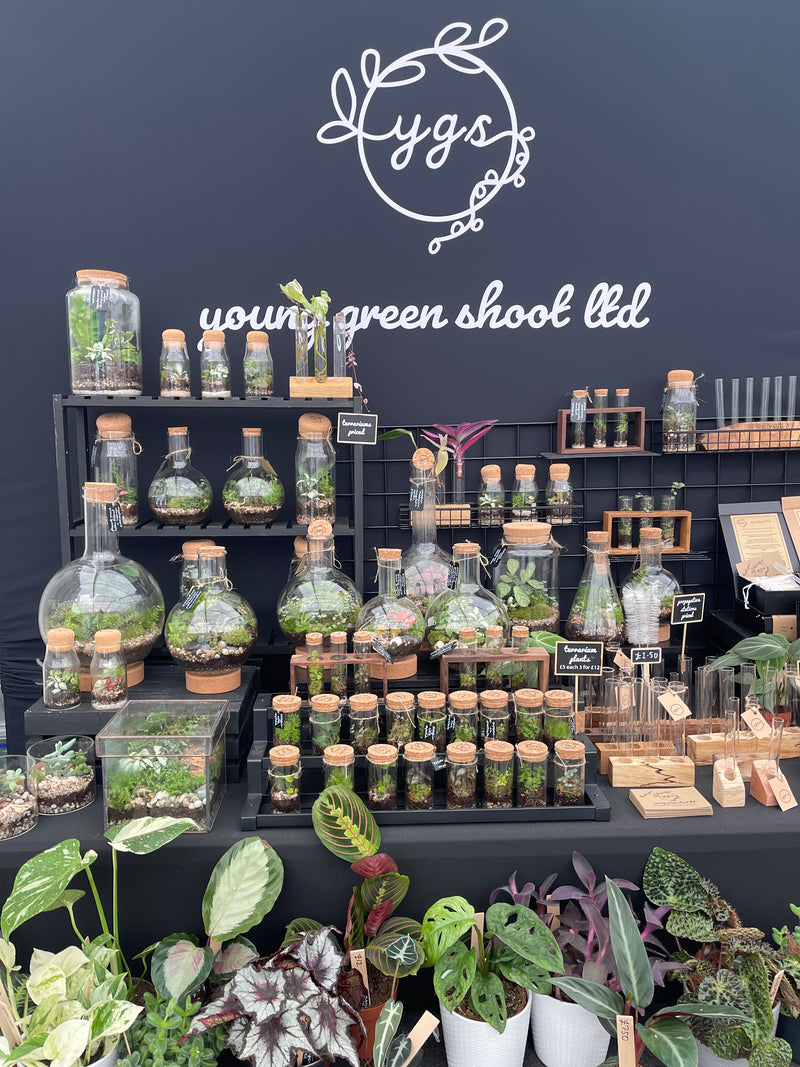 Had a fabulous time exhibiting at Blenheim Palace Flower Show last weekend. We had some great weather bringing in lots of customers. There was an abundance of wildlife, butterflies constantly in the marquee, ducks wandering around telling us off loudly for being in their way.