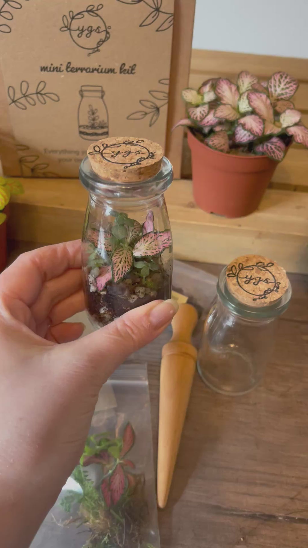 Mini Terrarium DIY Gift Pack — Your Own Tiny Ecosystem, No Green Thumb Required